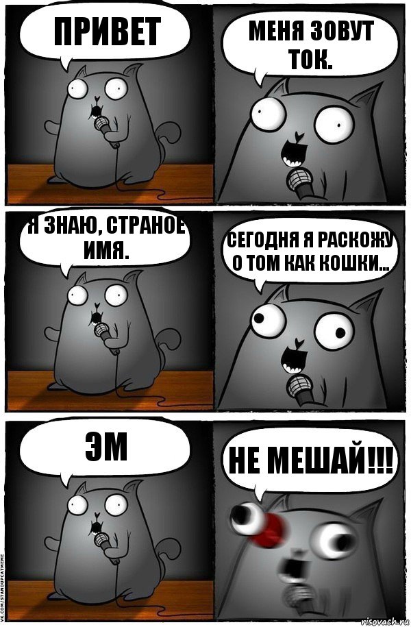 привет меня зовут ток. я знаю, страное имя. сегодня я раскожу о том как кошки... эм НЕ МЕШАЙ!!!, Комикс  Стендап-кот