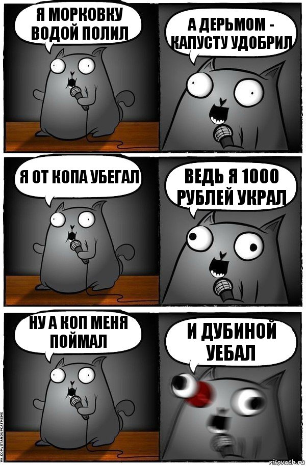 Я морковку водой полил а дерьмом - капусту удобрил я от копа убегал ведь я 1000 рублей украл ну а коп меня поймал и дубиной уебал, Комикс  Стендап-кот