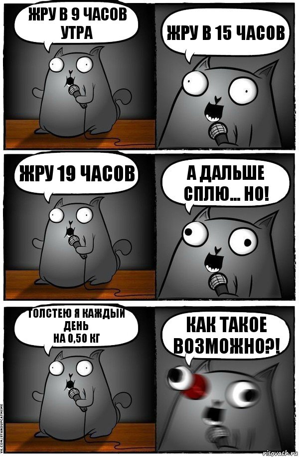 жру в 9 часов утра жру в 15 часов жру 19 часов а дальше сплю... НО! толстею я каждый день
на 0,50 кг КАК ТАКОЕ ВОЗМОЖНО?!, Комикс  Стендап-кот