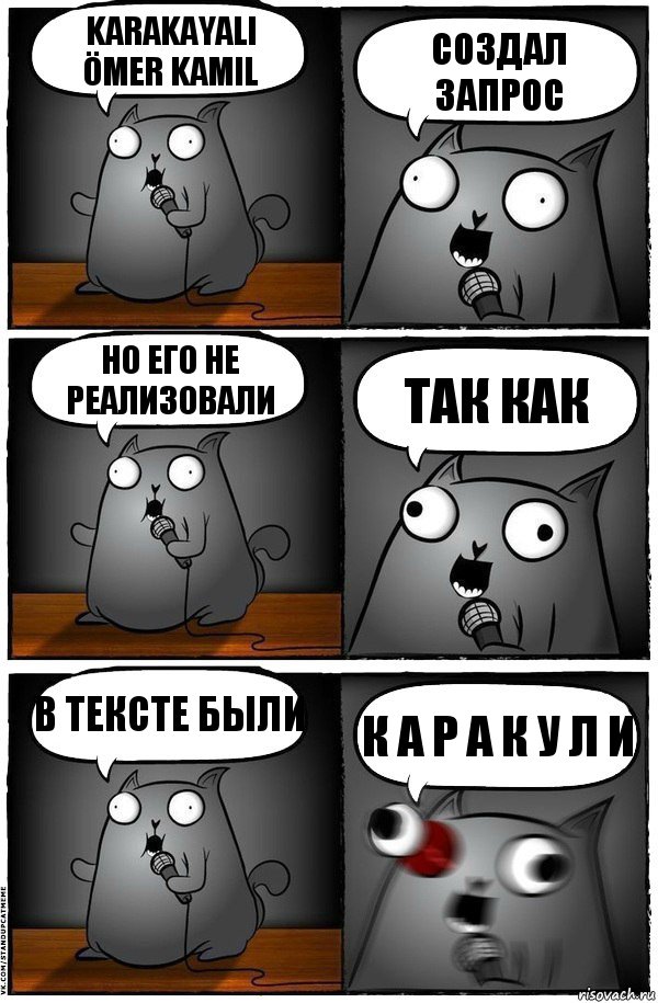 Karakayali Ömer Kamil создал запрос но его не реализовали так как в тексте были к а р а к у л и, Комикс  Стендап-кот