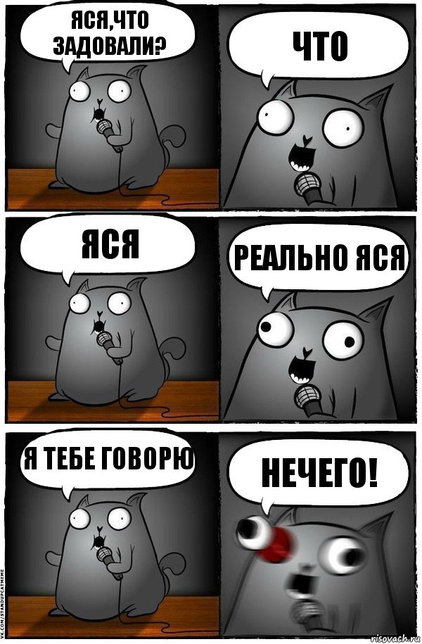 Яся,что задовали? Что Яся Реально Яся Я тебе говорю Нечего!, Комикс  Стендап-кот