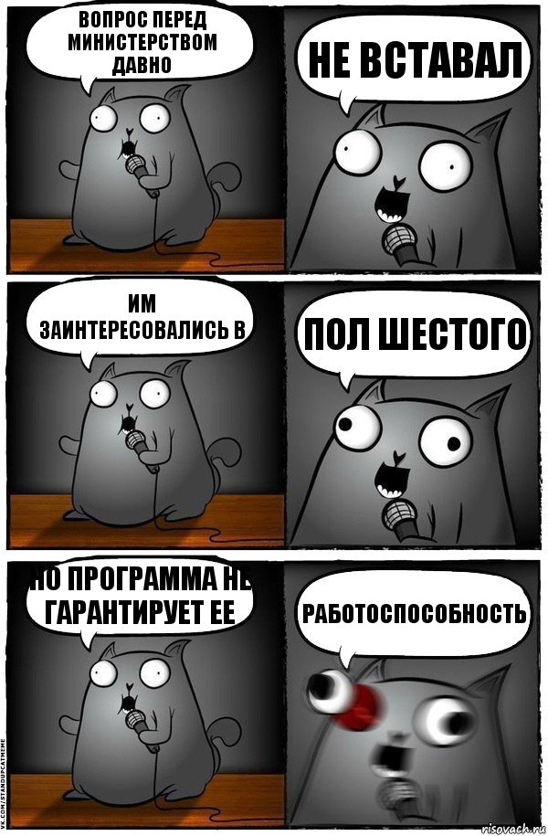 вопрос перед министерством давно не вставал им заинтересовались в пол шестого но программа не гарантирует ее работоспособность, Комикс  Стендап-кот