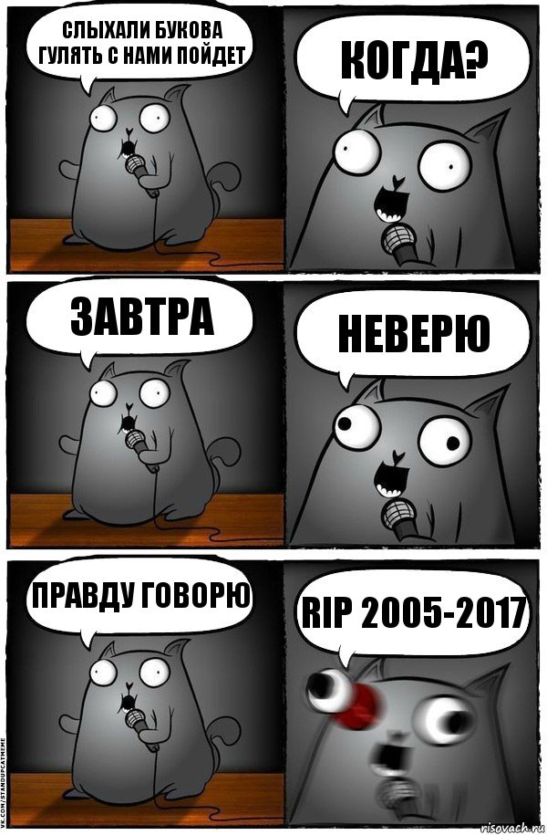 Слыхали букова гулять с нами пойдет Когда? Завтра Неверю Правду говорю RIP 2005-2017, Комикс  Стендап-кот