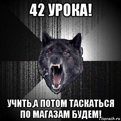 42 урока! учить,а потом таскаться по магазам будем!, Мем Сумасшедший волк