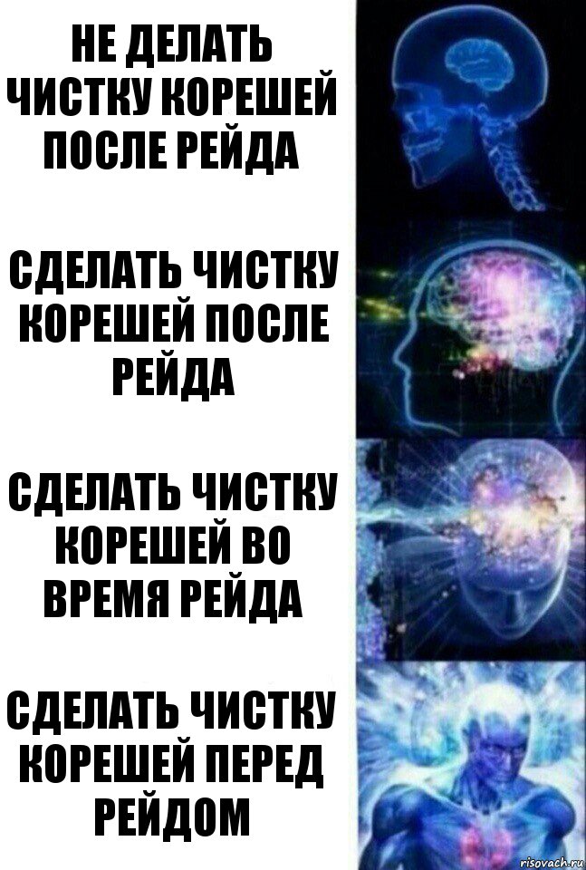 Не делать чистку корешей после рейда Сделать чистку корешей после рейда Сделать чистку корешей во время рейда Сделать чистку корешей перед рейдом, Комикс  Сверхразум