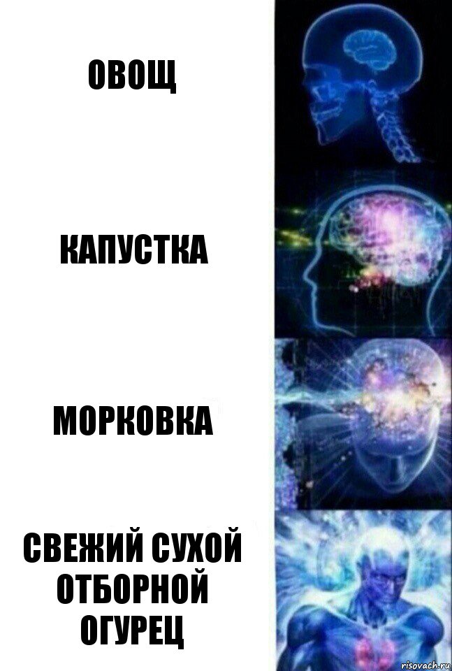 овощ капустка морковка свежий сухой отборной огурец, Комикс  Сверхразум