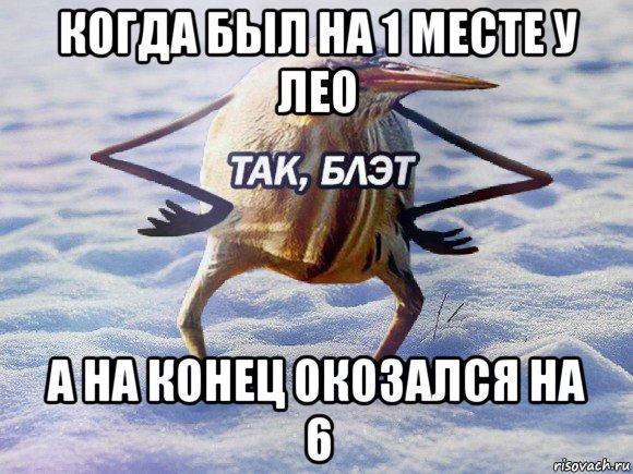 когда был на 1 месте у лео а на конец окозался на 6, Мем  Так блэт птица с руками