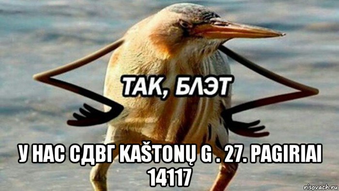  у нас сдвг kaštonų g . 27. pagiriai 14117, Мем  Так блэт