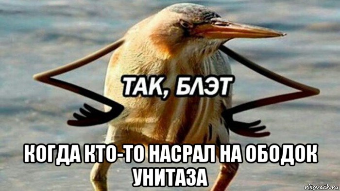  когда кто-то насрал на ободок унитаза