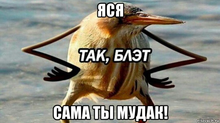 яся сама ты мудак!