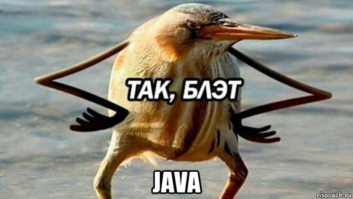  java, Мем  Так блэт