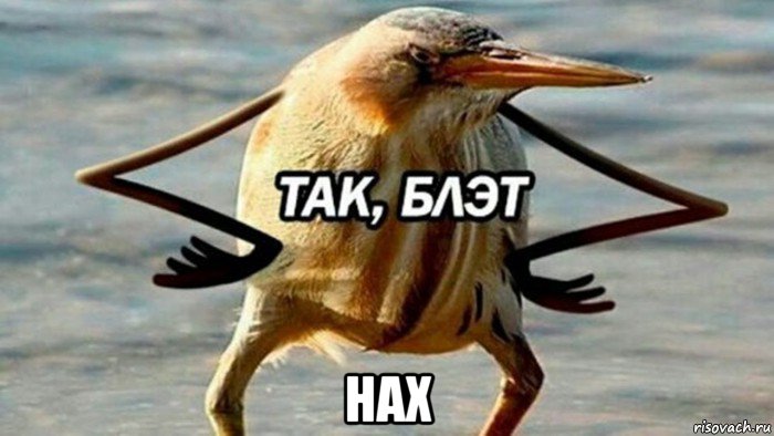 нах, Мем  Так блэт
