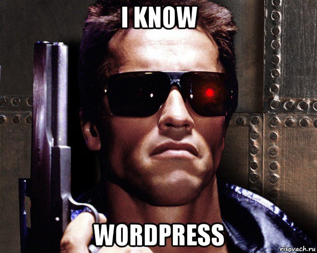 i know wordpress, Мем   терминатор