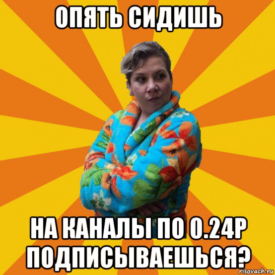 опять сидишь на каналы по 0.24р подписываешься?, Мем Типичная мама