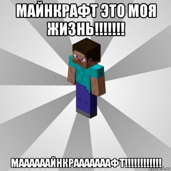 майнкрафт это моя жизнь!!!!!!! маааааайнкрааааааафт!!!!!!!!!!!!, Мем Типичный игрок Minecraft