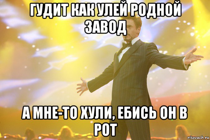 гудит как улей родной завод а мне-то хули, ебись он в рот, Мем Тони Старк (Роберт Дауни младший)