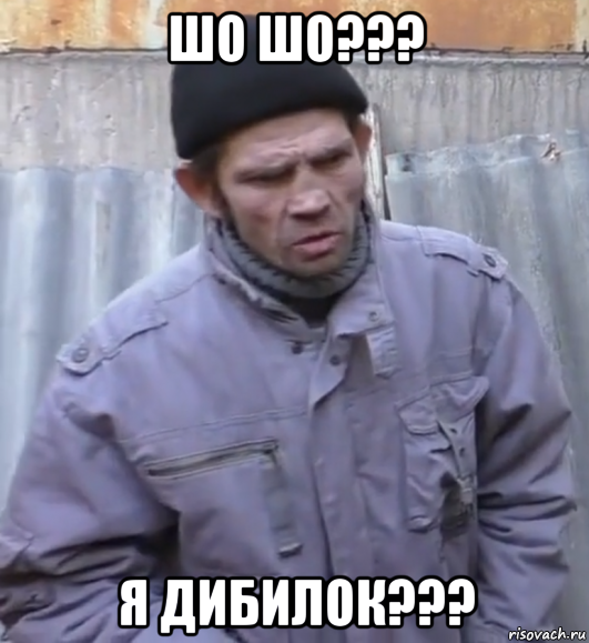 шо шо??? я дибилок???