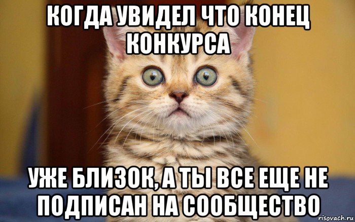 когда увидел что конец конкурса уже близок, а ты все еще не подписан на сообщество