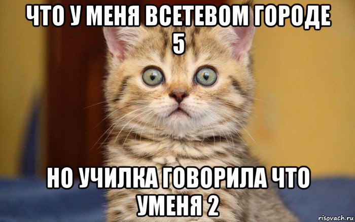 что у меня всетевом городе 5 но училка говорила что уменя 2, Мем  удивление