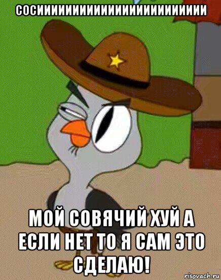 сосииииииииииииииииииииииии мой совячий хуй а если нет то я сам это сделаю!, Мем    Упоротая сова