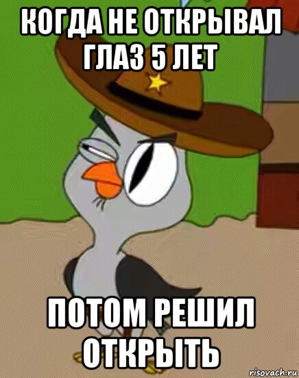 когда не открывал глаз 5 лет потом решил открыть, Мем    Упоротая сова