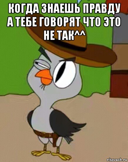 когда знаешь правду а тебе говорят что это не так^^ , Мем    Упоротая сова