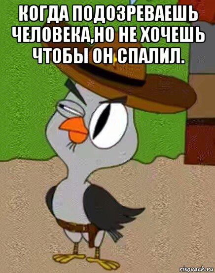 когда подозреваешь человека,но не хочешь чтобы он спалил. , Мем    Упоротая сова