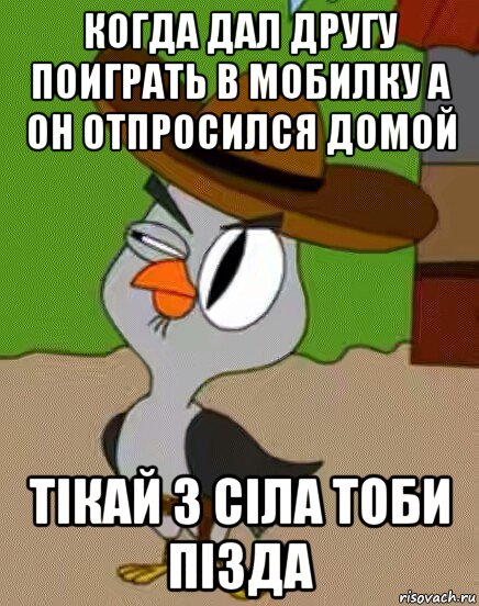 когда дал другу поиграть в мобилку а он отпросился домой тiкай з сiла тоби пiзда, Мем    Упоротая сова