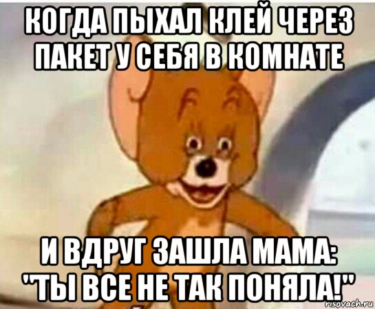 когда пыхал клей через пакет у себя в комнате и вдруг зашла мама: "ты все не так поняла!", Мем Упоротый джерри