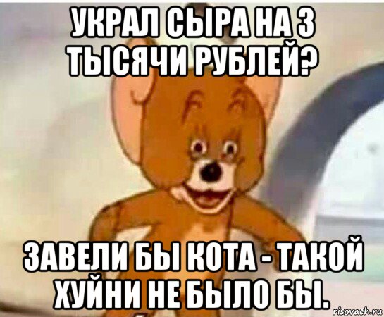 украл сыра на 3 тысячи рублей? завели бы кота - такой хуйни не было бы., Мем Упоротый джерри