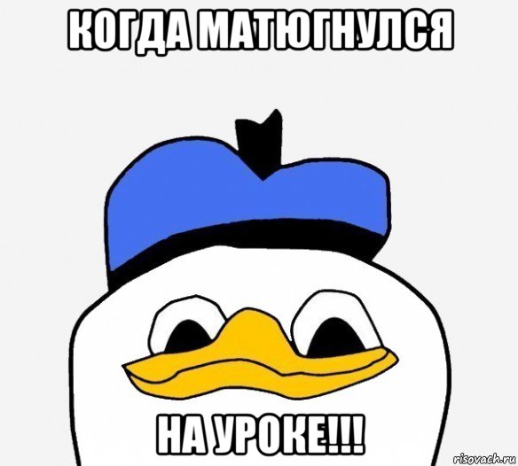 когда матюгнулся на уроке!!!, Мем Утка