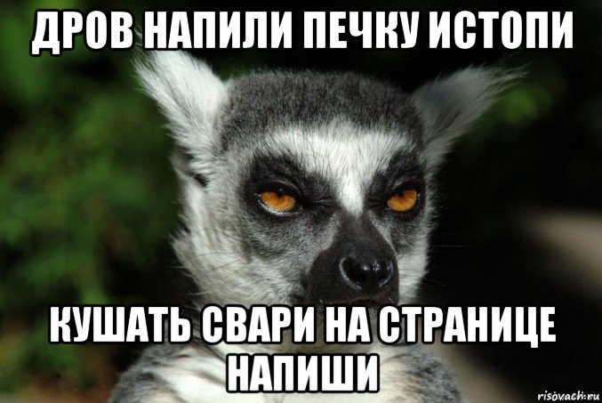 дров напили печку истопи кушать свари на странице напиши, Мем   Я збагоен