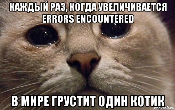 каждый раз, когда увеличивается errors encountered в мире грустит один котик, Мем   В мире грустит один котик