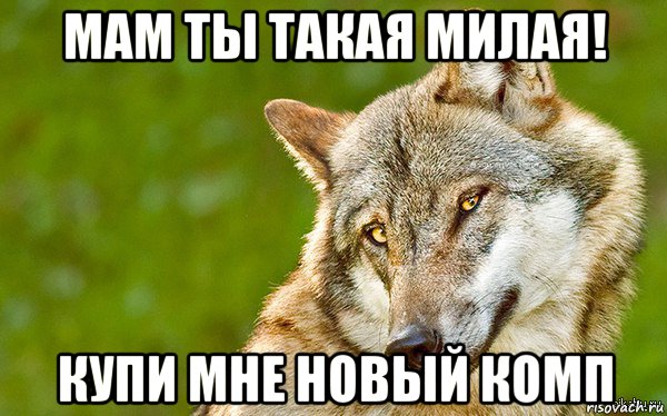 мам ты такая милая! купи мне новый комп, Мем   Volf