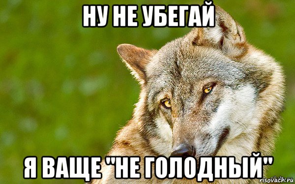 ну не убегай я ваще "не голодный", Мем   Volf