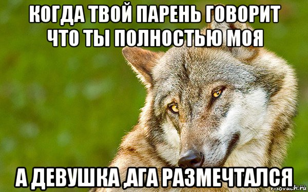 когда твой парень говорит что ты полностью моя а девушка ,ага размечтался, Мем   Volf