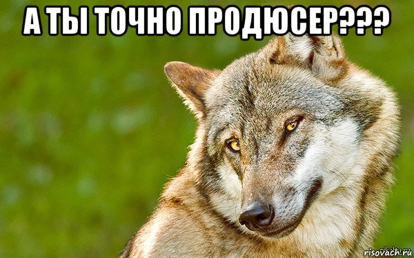 а ты точно продюсер??? , Мем   Volf