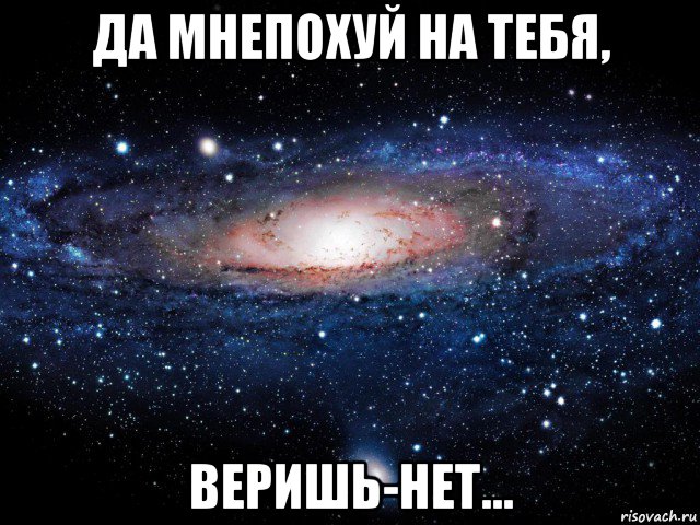 да мнепохуй на тебя, веришь-нет..., Мем Вселенная