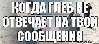 Когда Глеб не отвечает на твои сообщения