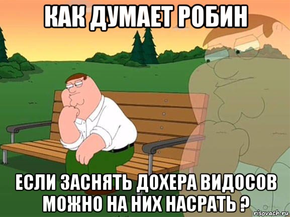 как думает робин если заснять дохера видосов можно на них насрать ?, Мем Задумчивый Гриффин