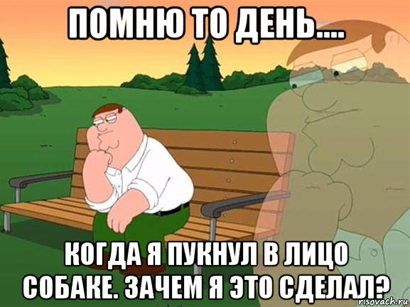 помню то день.... когда я пукнул в лицо собаке. зачем я это сделал?, Мем Задумчивый Гриффин