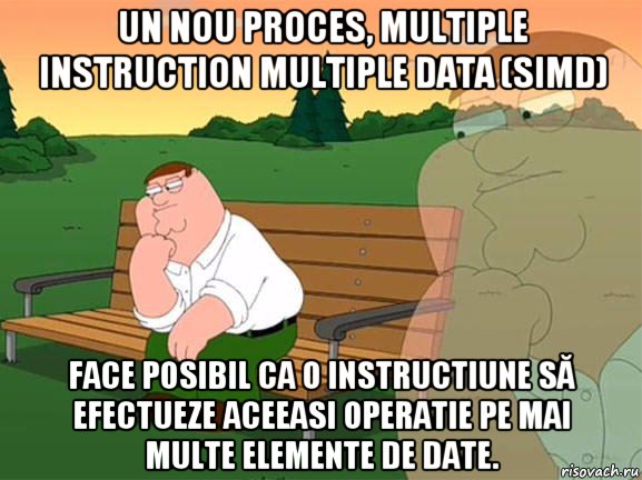 un nou proces, multiple instruction multiple data (simd) face posibil ca o instructiune să efectueze aceeasi operatie pe mai multe elemente de date., Мем Задумчивый Гриффин