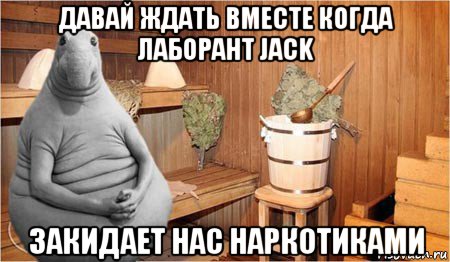 давай ждать вместе когда лаборант jack закидает нас наркотиками, Мем  Ждун в бане