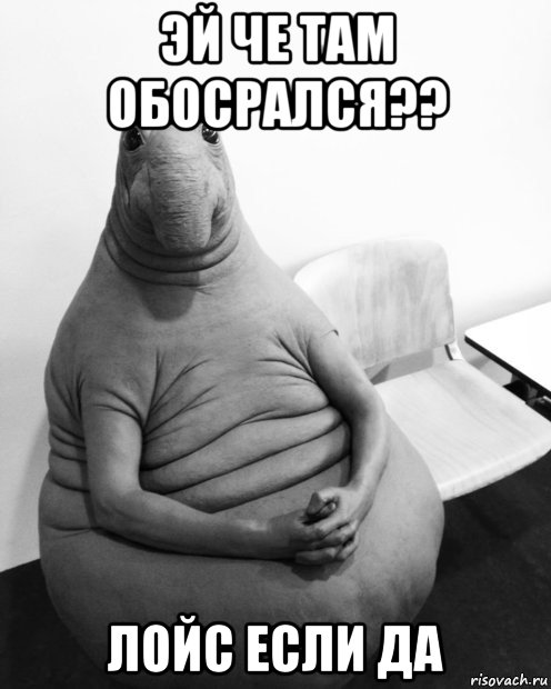 эй че там обосрался?? лойс если да, Мем  Ждун