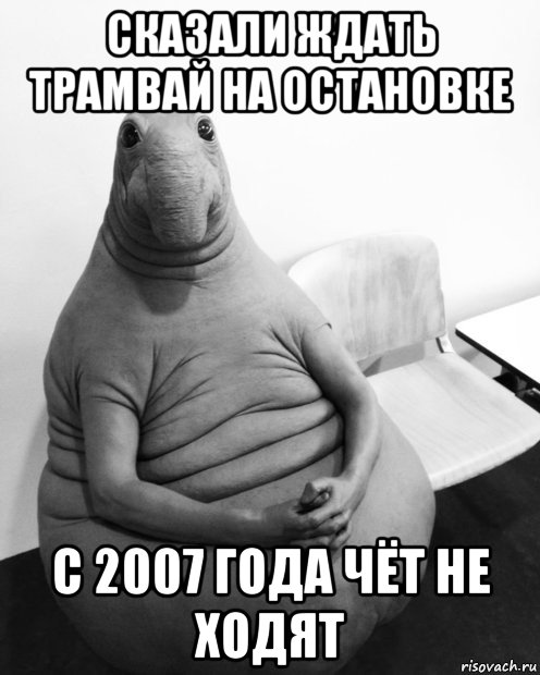 сказали ждать трамвай на остановке с 2007 года чёт не ходят, Мем  Ждун