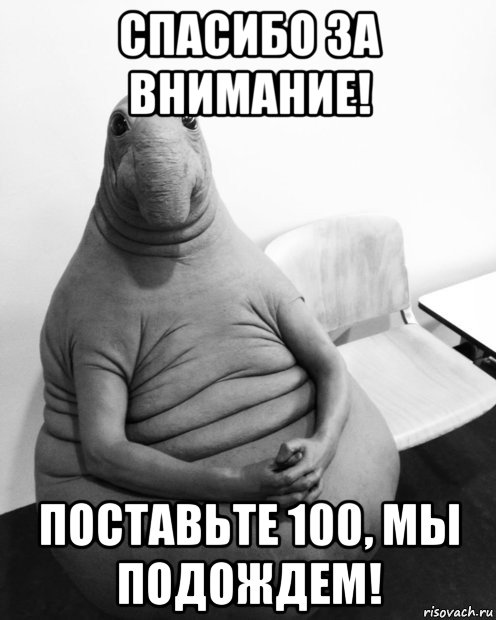 спасибо за внимание! поставьте 100, мы подождем!, Мем  Ждун