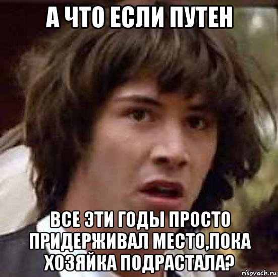 а что если путен все эти годы просто придерживал место,пока хозяйка подрастала?, Мем А что если (Киану Ривз)