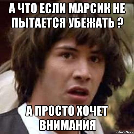 а что если марсик не пытается убежать ? а просто хочет внимания, Мем А что если (Киану Ривз)