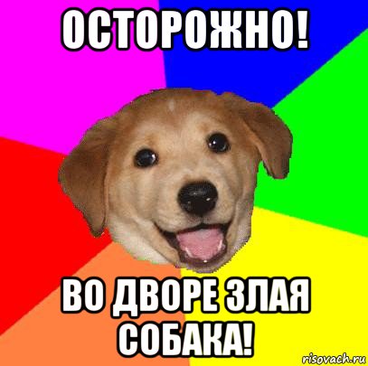 осторожно! во дворе злая собака!, Мем Advice Dog