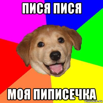 пися пися моя пиписечка, Мем Advice Dog